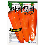 당근 씨앗