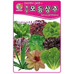 제일모듬상추 씨앗