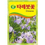 타레붓꽃 씨앗