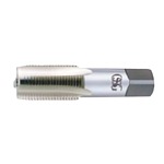 HSS 미식관용테이퍼탭 (NPSF)