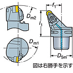 홀더