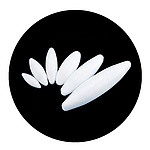 PTFE 마그네틱바 (Oval-Type)