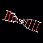 포디프레임 4D (체험용 DNA 4)