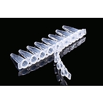 8- Strip PCR 튜브