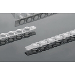 8- Strip PCR 튜브캡