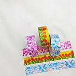 홀로그램 마스킹테이프 (별자리, 튵립)