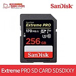 SDHC/XC 카드 Class10 UHS-I 170MB/s (256GB)