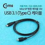 USB 3.1 Mini 5핀 to C 변환 케이블 (ITB455)