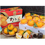 한라봉 선물세트