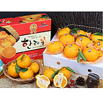 한라봉 실속세트