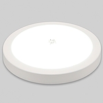 LED 원형 포인트 직부등 (15W)