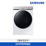 21년형 그랑데 건조기 (DV19T8745BW)