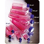 플라스크 (75cm²/250mL Canted Neck Flasks)