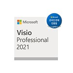 Visio Professional 2021 Win All Lng (다운로드 전용)