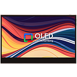 DEX 포터블 (TFX133F OLED)
