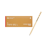자연목 연필 세트 (SP)