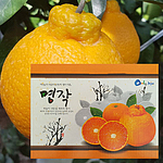 한라봉 (2kg/5kg)