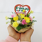 나무토퍼 꽃바구니 만들기