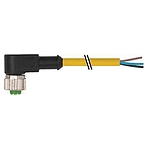 M12 female 90° A-cod. with cable