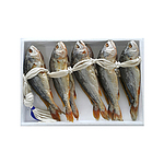 보리굴비 (마른부세)
