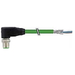M12 male 90° Y-cod. with cable shielded