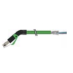 RJ45 male 45° down with cable shielded