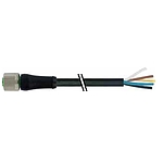 M12 Power female 0° K-cod. with cable