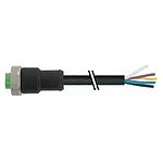 Mini (7/8) 5 pole, Female 0° w/ Cable