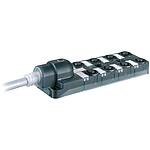EXACT12, 8XM12, 4 POLE MOULDED CABLE