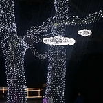 투명선 LED 지니전구 (500구)