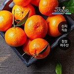 서귀포 명품 감귤 (5kg)