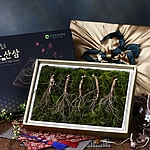 산양산삼 7년근 5뿌리