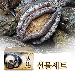 완도활전복 특선 (V2호)