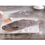 반건조 통민어