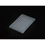 PCR 플레이트(PCR Plate,Clear)