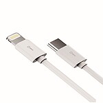 USB C타입 to 8핀 케이블 (IHC-10M-CT8)