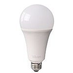 A-벌브 LED (YTA80E2-202665)
