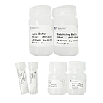 RoomTemp Sample Lysis Kit