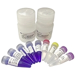 One Step Mouse Genotyping Kit