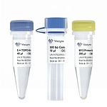 5 min TOPO-Blunt Cloning Kit