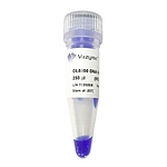 DL5000 DNA Marker