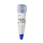 DL15000 DNA Marker