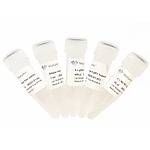 HiScript II Q RT SuperMix for qPCR (+gDNA wiper)
