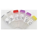 HiScript II Q Select RT SuperMix for qPCR