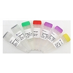 HiScript II Q Select RT SuperMix for qPCR (+gDNA wiper)