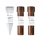 ChamQ SYBR qPCR Master Mix