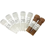 HiScript II One Step qRT-PCR Probe Kit