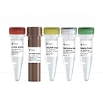 ResiDNA Precise Quantitative CHO DNA Detection Kit