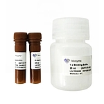 Annexin V-FITC/PI Apoptosis Detection Kit