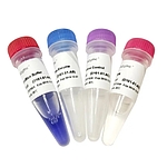 MycoBlue Mycoplasma Detector